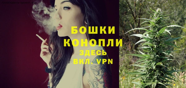 ешки Арсеньев