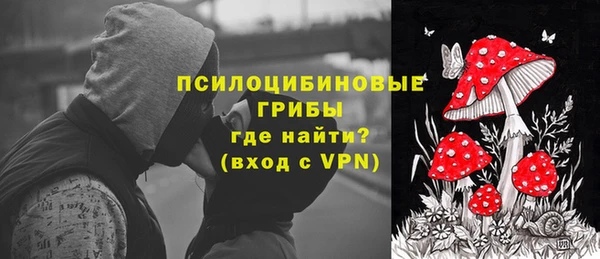 ешки Арсеньев